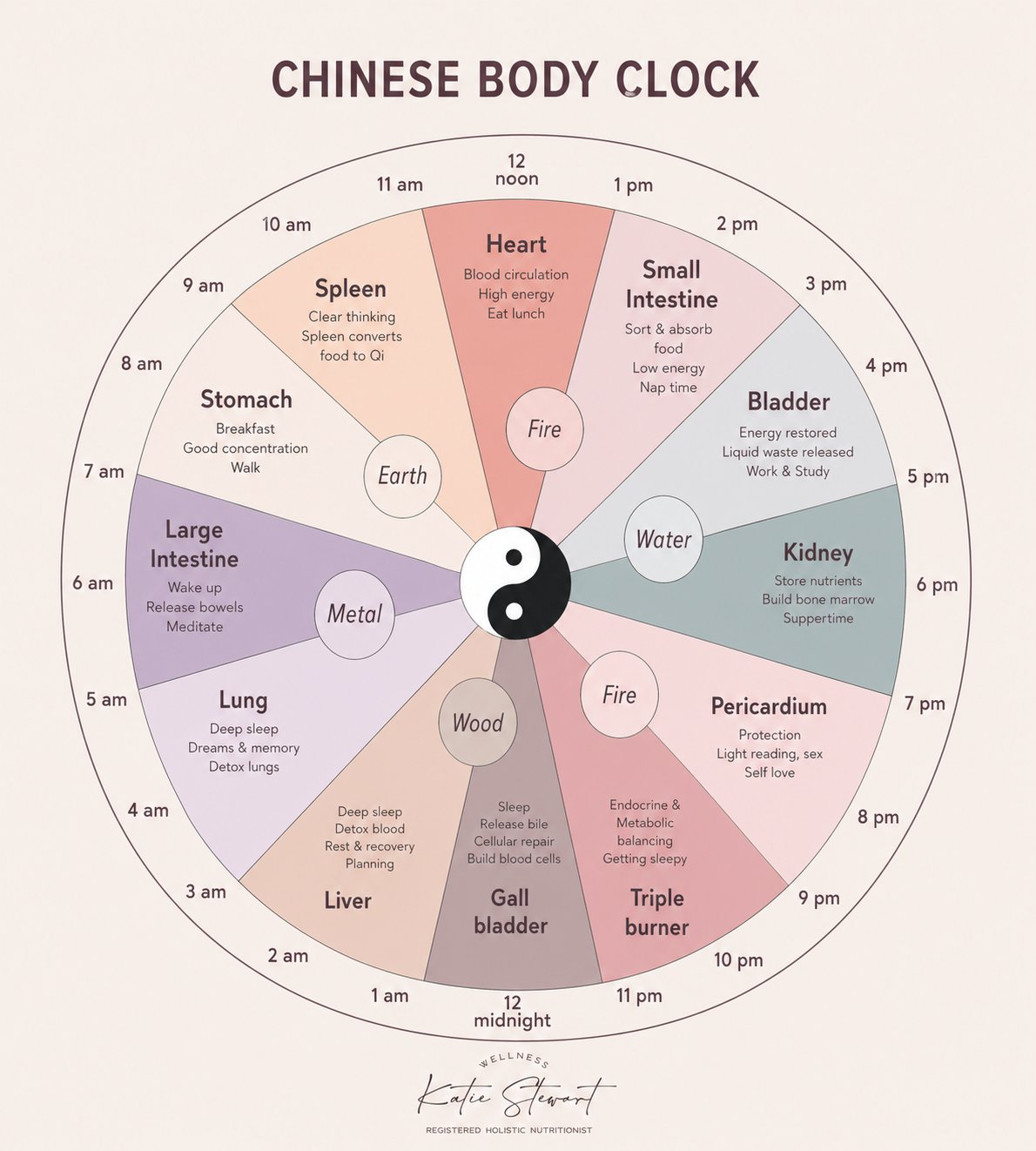 Chinese Body Clock chart showing each organ's two-hour energy window