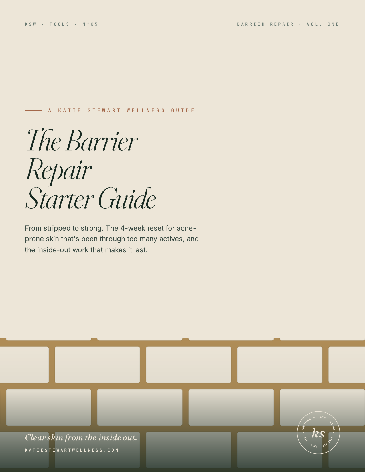 The Barrier Repair Starter Guide, a free guide by Katie Stewart, Acne Nutritionist (RHN, FDN-P)