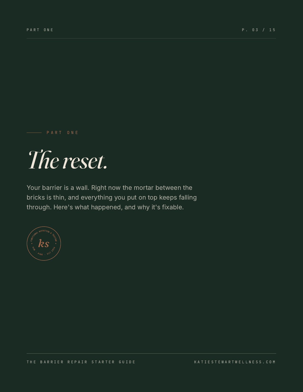 Inside the guide: Part One, the reset and why barrier repair comes first